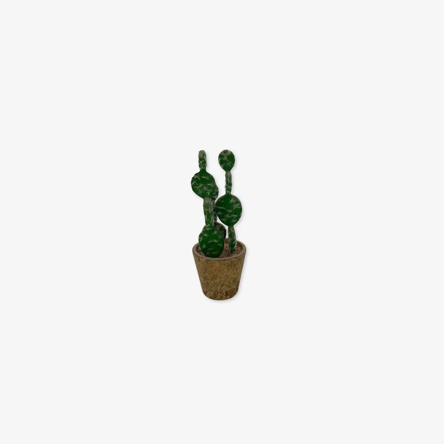 Planta de Cactus de plástico para adorno